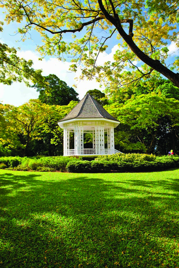 singapore-botanic-garden